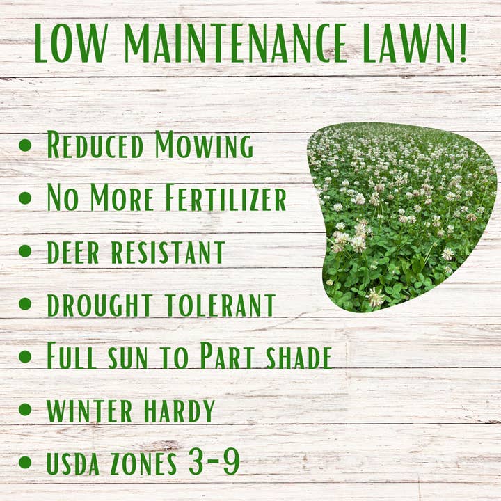 Flawn Seed Kits - Wholesale Plant Seeds - Dutch White Clover Seed11