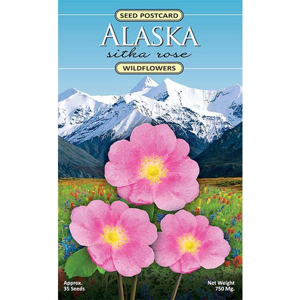Created By Nature - Wholesale Plant Seeds - Alaska Wild Rose Wildflower Seed Packet