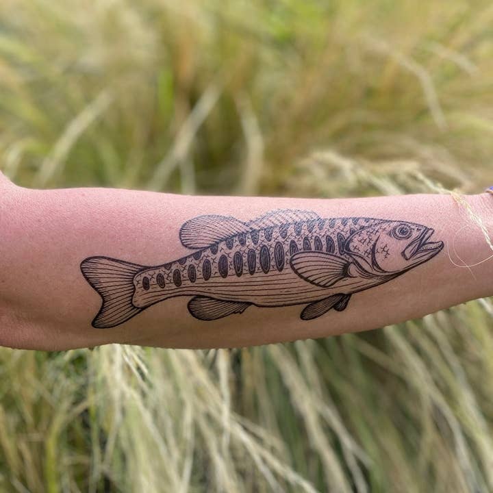 NatureTats - Vente Tatouages temporaires - Tatouage temporaire Bass Fish3
