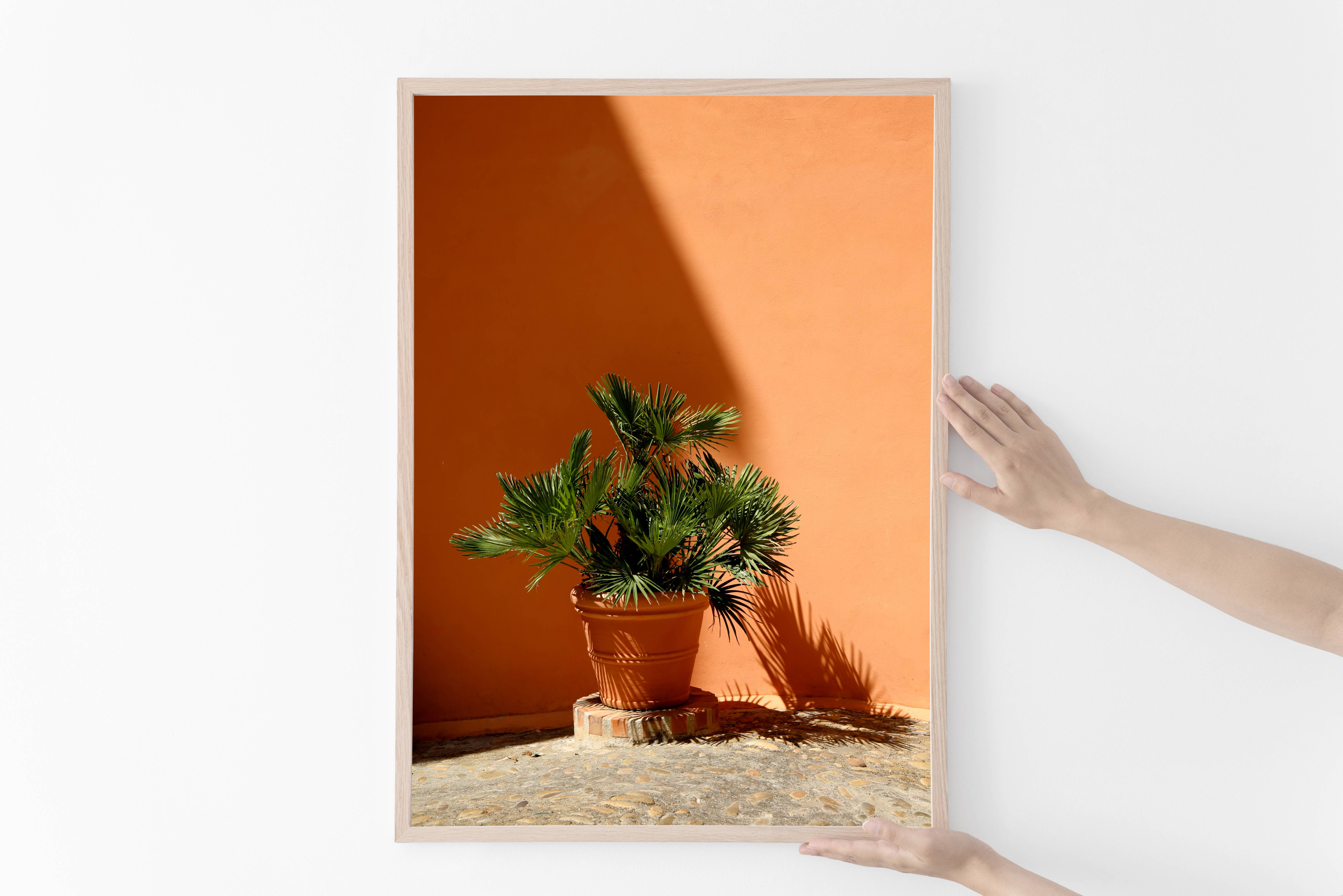 Veni Etiam Photography - Wholesale Art Print - Palm Tree Minimalist Art Print5