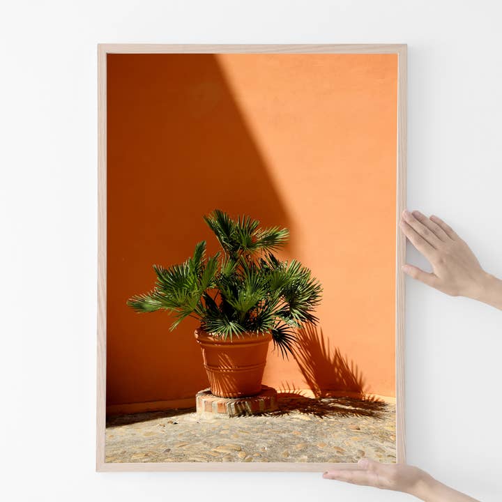 Veni Etiam Photography - Wholesale Art Print - Palm Tree Minimalist Art Print5