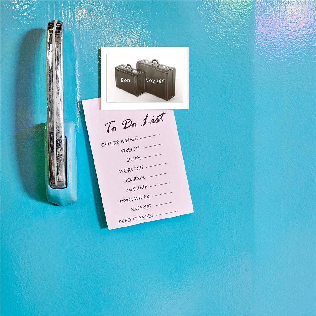 Found Image Press - Wholesale Magnet - Magnet TR-04 Suitcases, Bon Voyage1