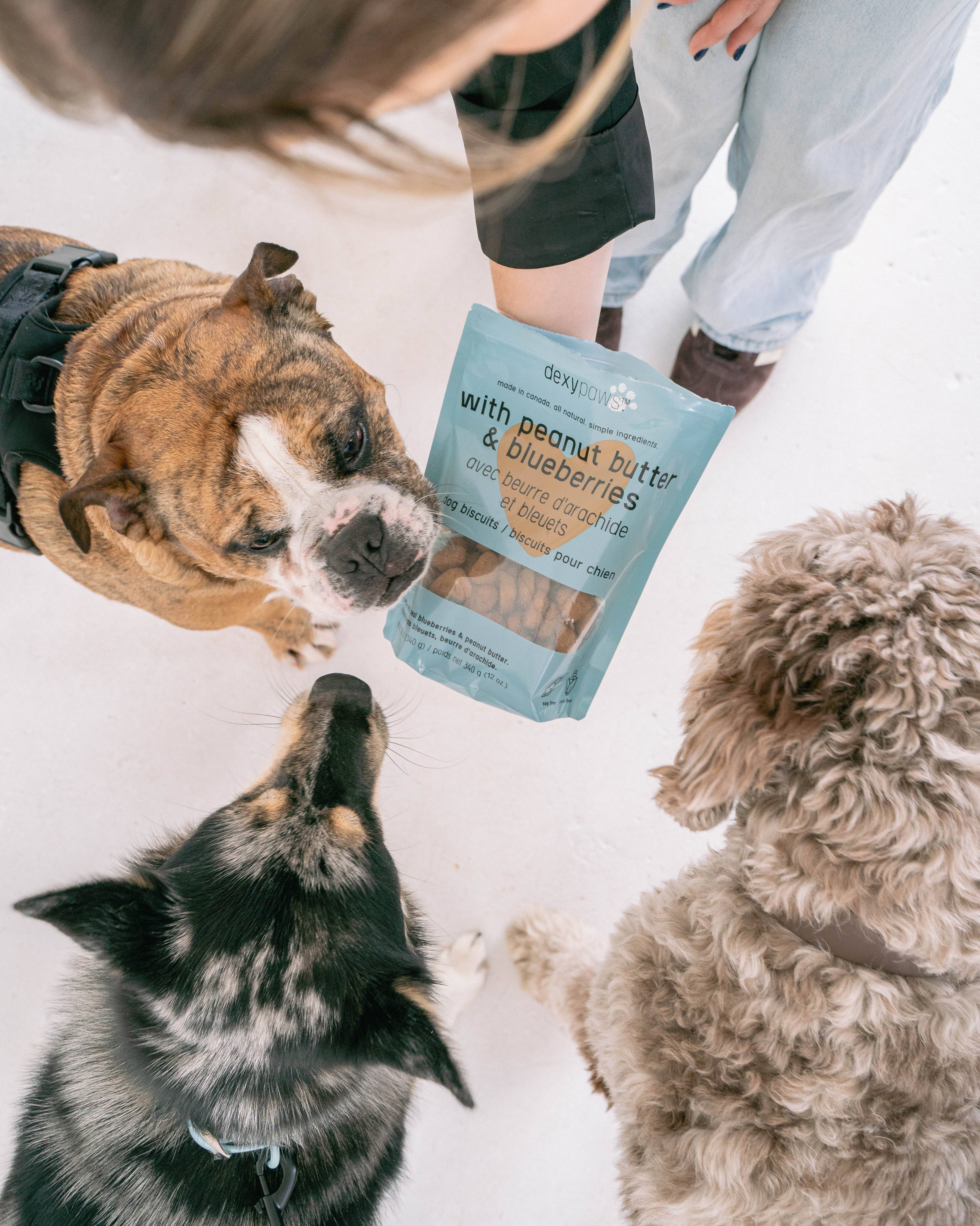 dexypaws - Vendita all'ingrosso Snack - Cani - Dolcetti per cani al burro di arachidi e mirtilli7