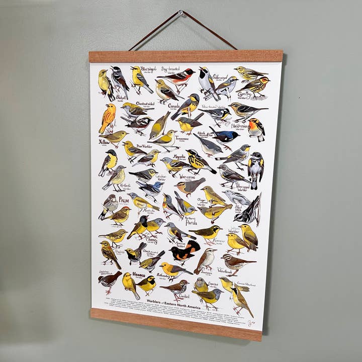 River Thrush Studio - Wholesale Poster - Eastern Warbler Poster2