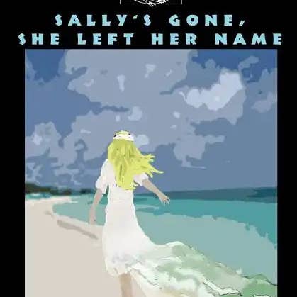 Books by splitShops - Wholesale Contemporary & Literary Fiction - Sally's Gone, She Left Her Name - Paperback