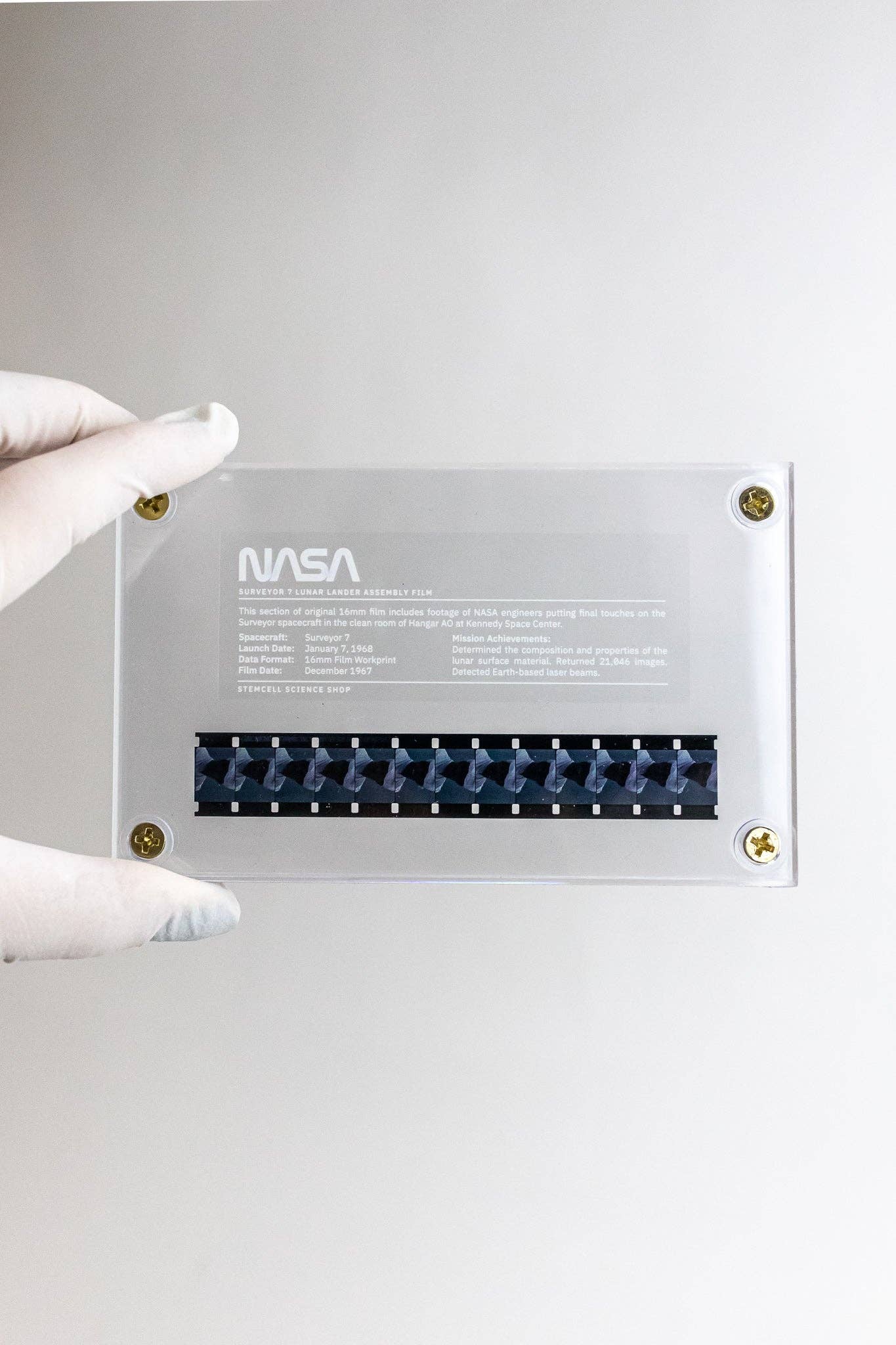 Stemcell Science Shop - Wholesale Decorative Tabletop Object - Wholesale Sample Box13