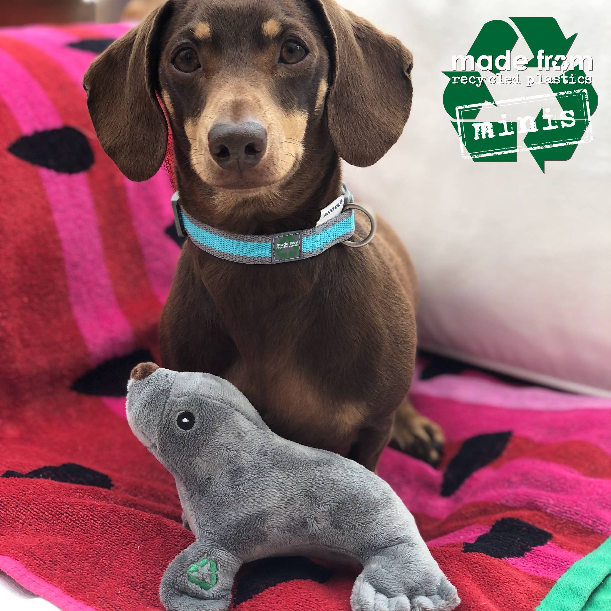 Ancol Pet Products Ltd – wholesale Pet plush toy – Dog – Made From Mini Turtle Seal And Seahorse2