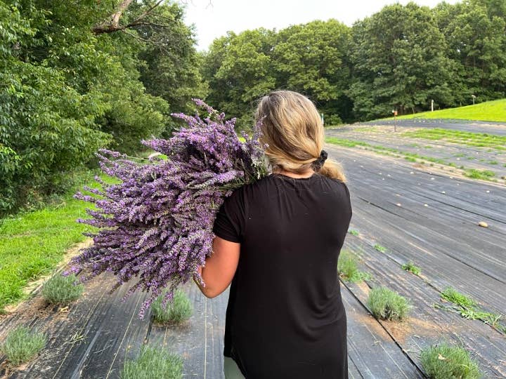 Great Lakes Lavender Farm - Wholesale Dried/Pressed Flowers - Great Lakes Lavender Farm Dried Lavender Bundle2