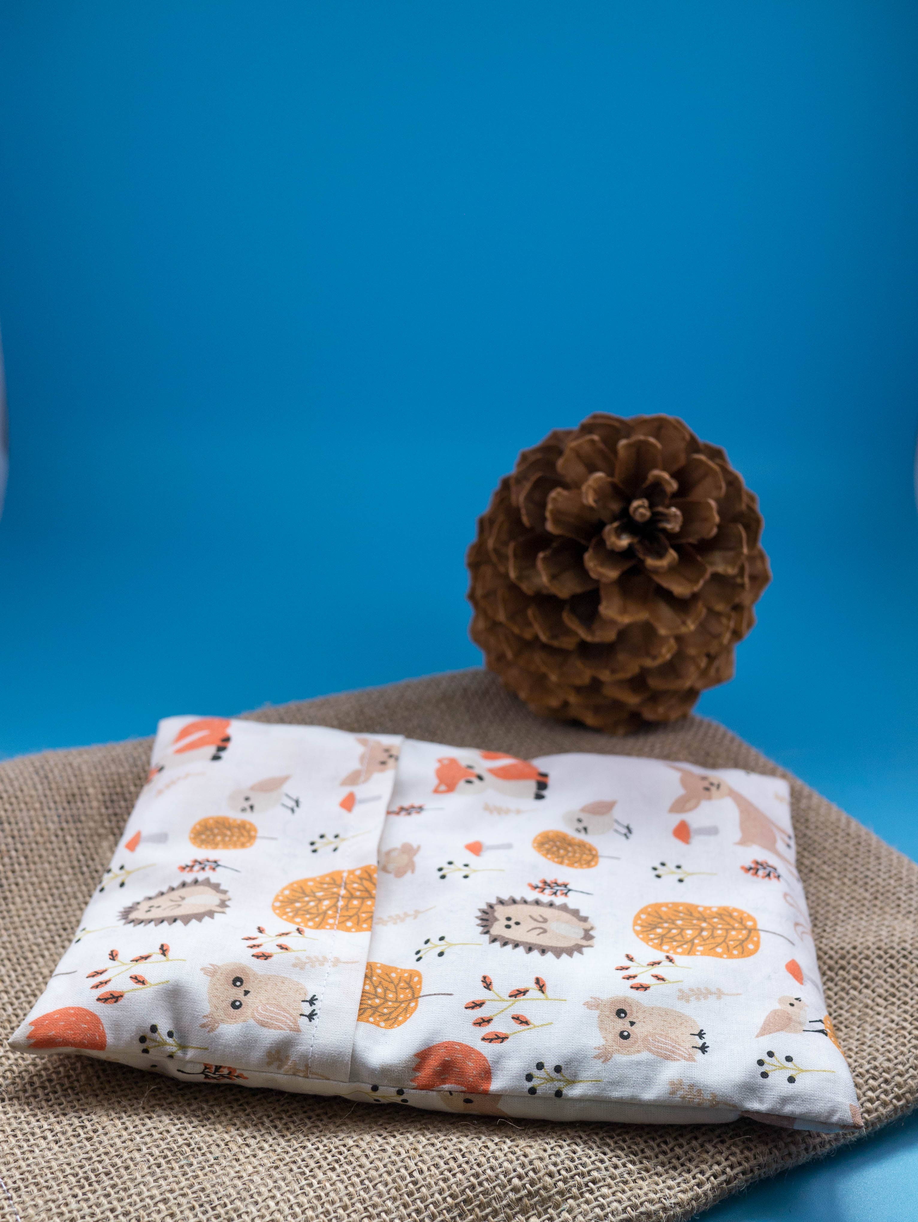 aglaïa – wholesale Hot/cold compress – Dry Flax Seed Hot Water Bottle for Kids & Baby3