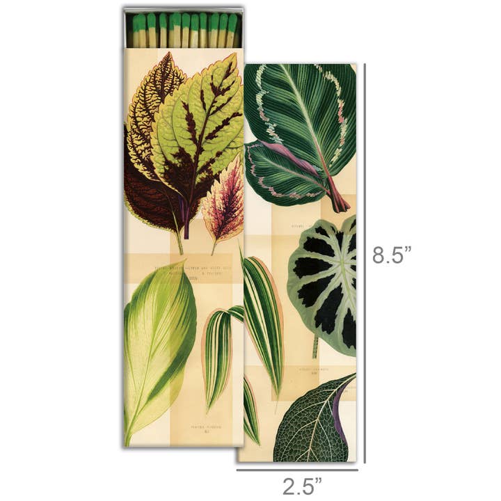 HomArt - Wholesale Matches - Match - Garden Foliage1