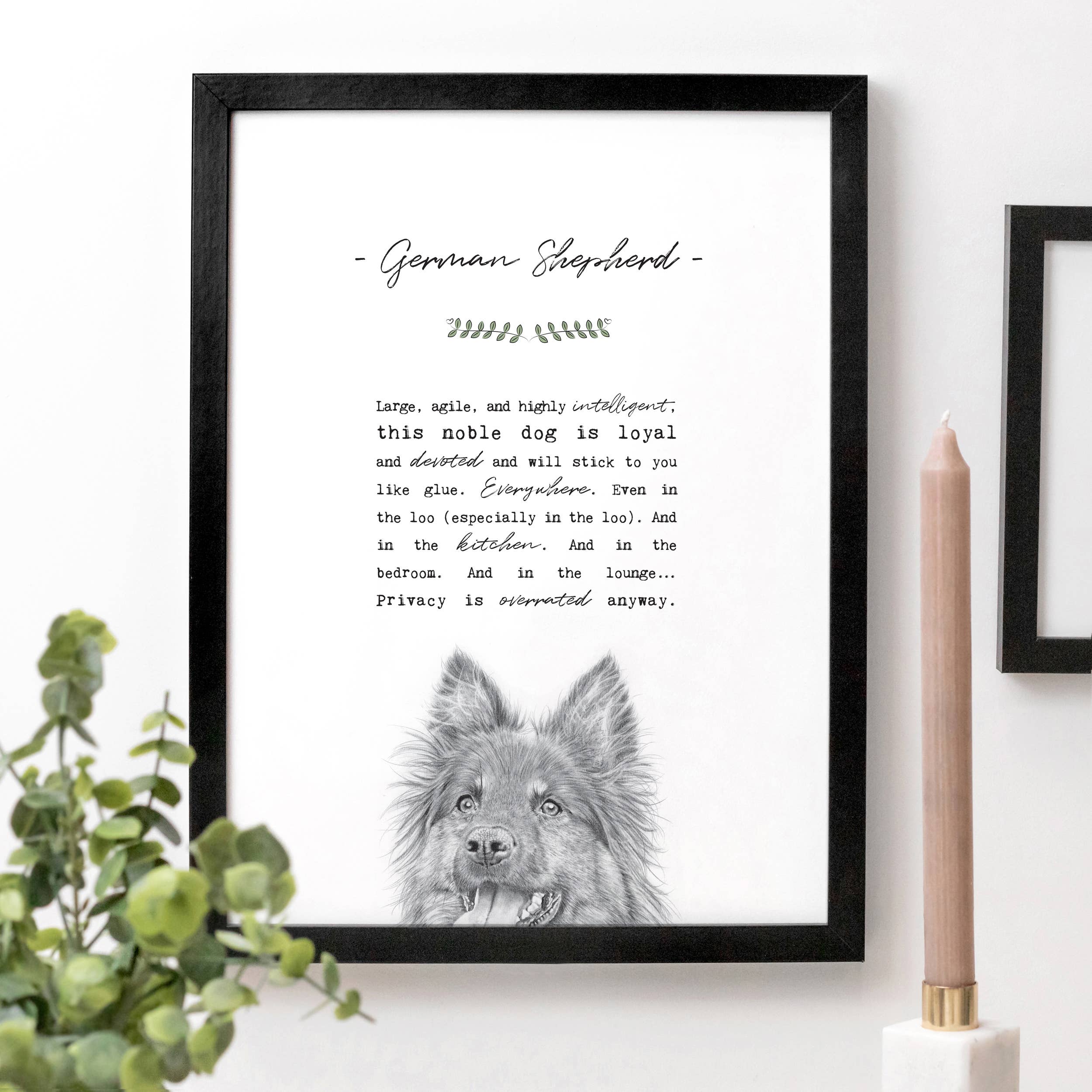 Coulson Macleod (U.S. Duties Paid) - Wholesale Art Print - Best-Selling 'Pooch' Dog Prints with Wooden Display Box13