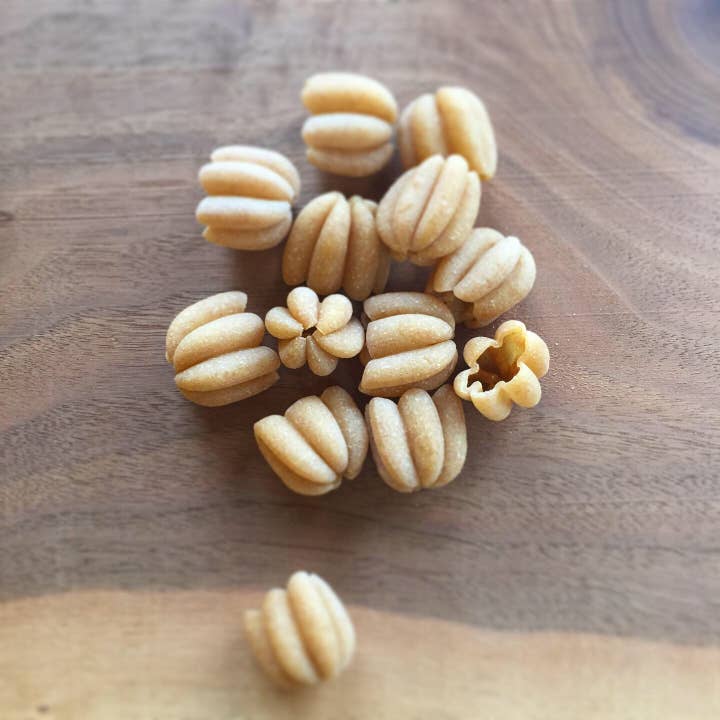 Pastificio Boulder - Wholesale Pasta - Heirloom Wheat Dry Pasta - Zucca