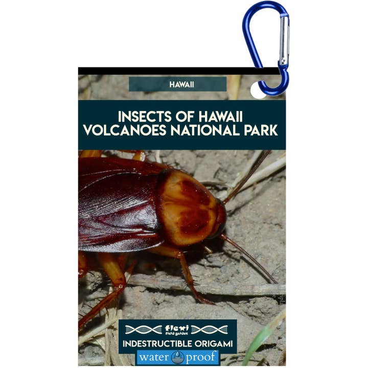 Insecten van Hawaii Volcanoes NP-Onverwoestbaar Origami voor wholesale door Flexi Field Guides