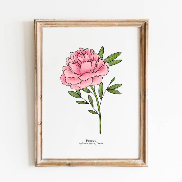 Stampa floreale dell'Indiana State | Stampa floreale di peonia per la vendita all'ingrosso da parte di Erika Layne Art