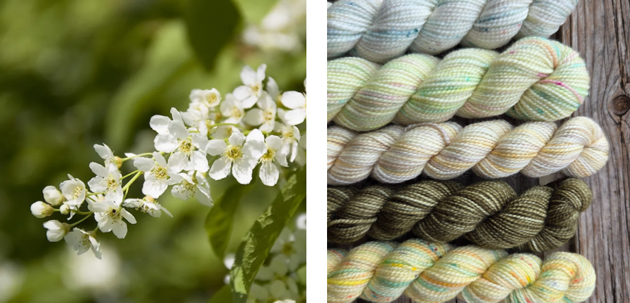 Koigu Wool Designs - Vente Fils à tricoter - Boîtes de Peinture de Fleurs Provinciales (ensembles de mini-écheveaux)23