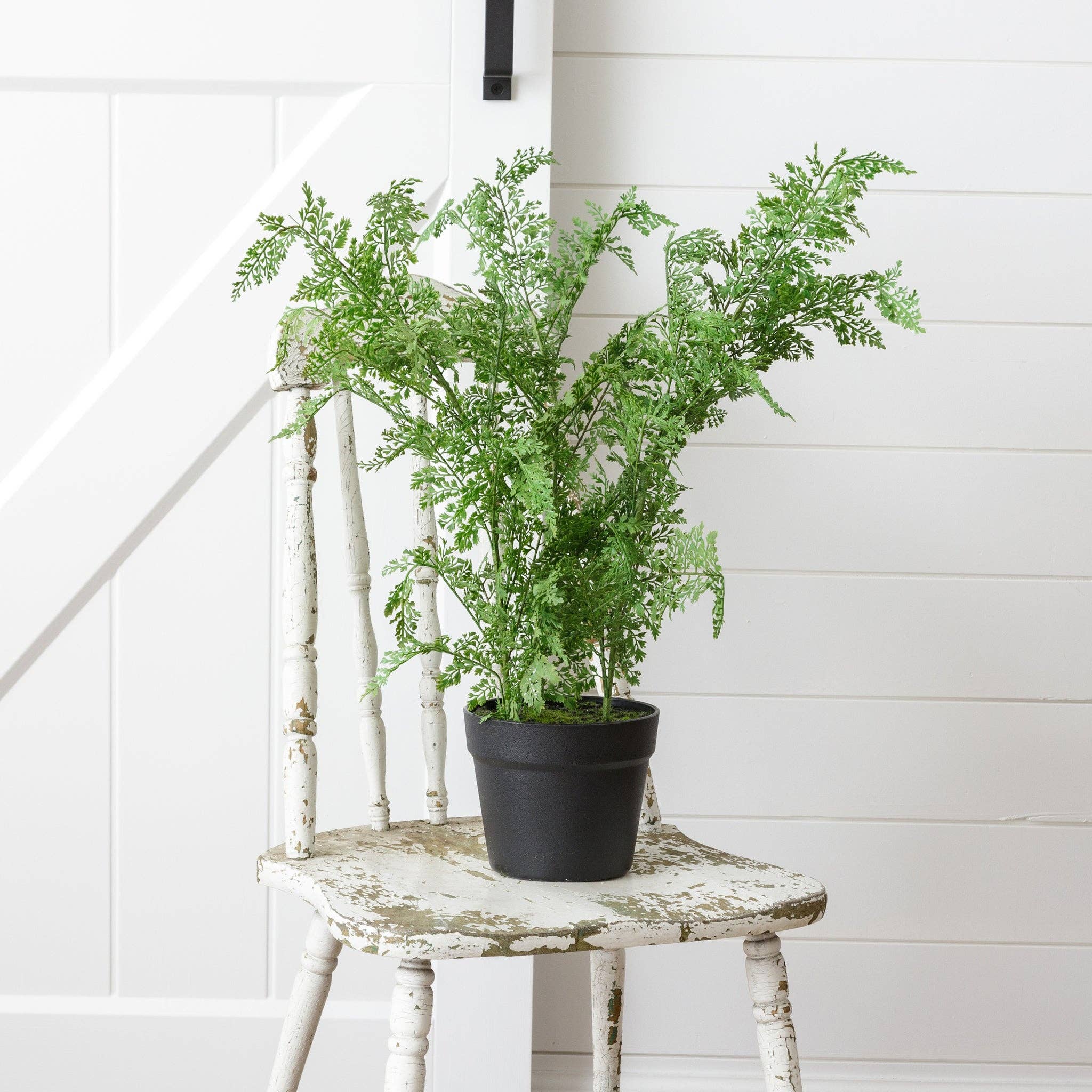 Audrey's Home & Gift - Wholesale Artificial Plant - Potted Maidenhair Fern (PC)1