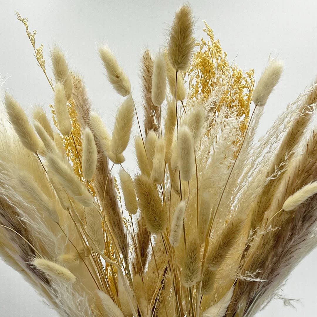 2626 Designs - Wholesale Dried/Pressed Flowers - Real Preserved Mixed Bouquets Mix 8 Small - Med - Large8