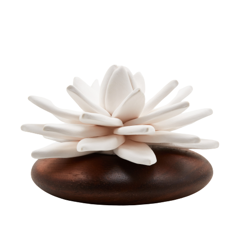 Anoq - Vendita all'ingrosso Diffusori a lamella - Diffusore di oli essenziali con fiore di porcellana e base in legno di acacia2
