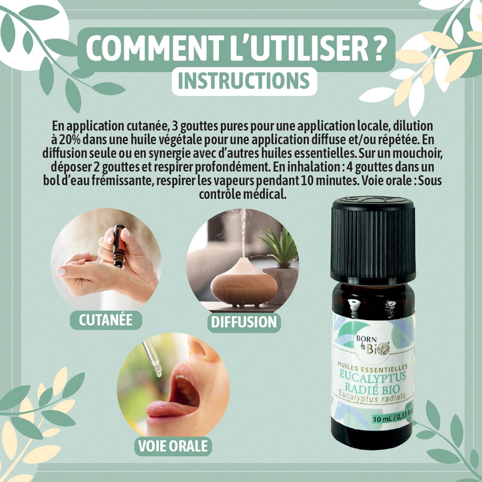 Les Laboratoires Bio Seasons - Wholesale Essential Oil - Eucalyptus essential oil Radie organic 10 ml2