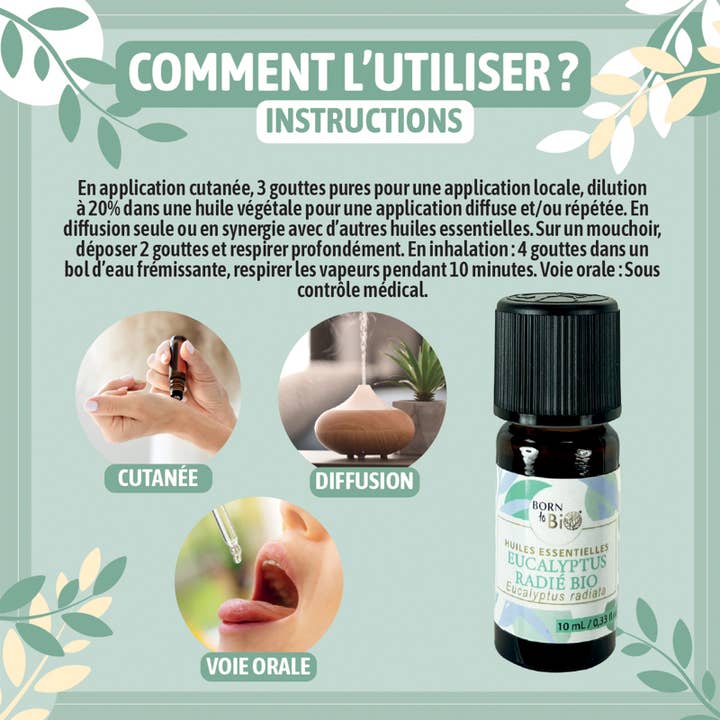 Les Laboratoires Bio Seasons - Wholesale Essential Oil - Eucalyptus essential oil Radie organic 10 ml2