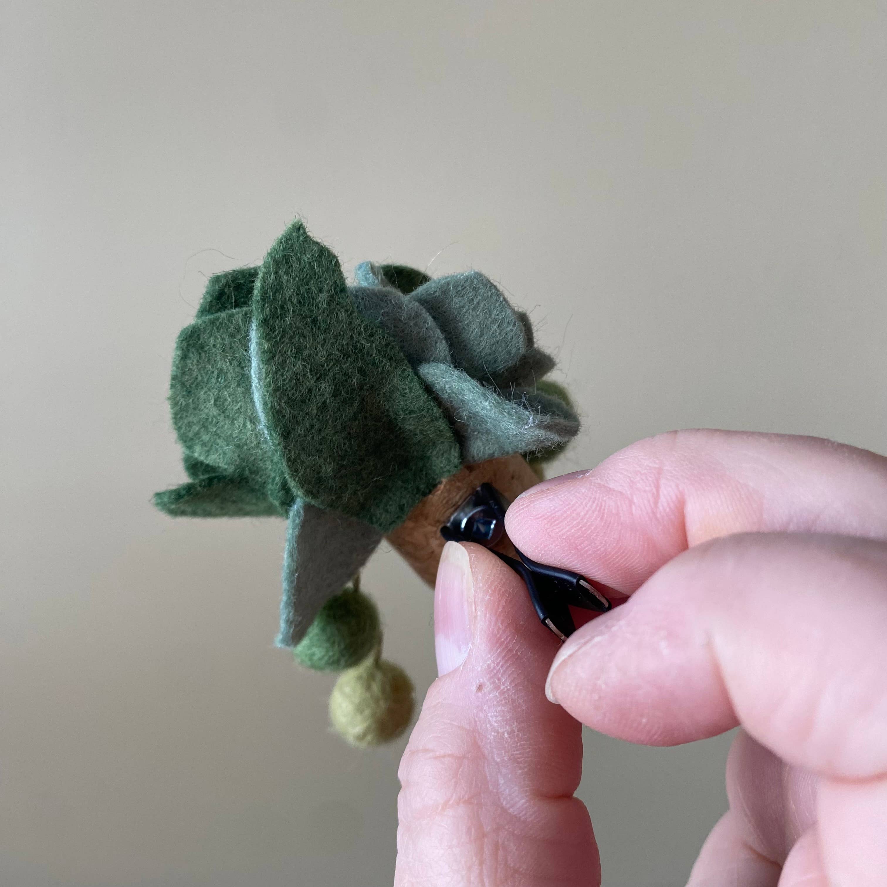 ForgetBKnot - Vente Désodorisant pour voiture – unisexe - Diffuseur d'huiles essentielles pour voiture avec clip : Feutre Succulent7