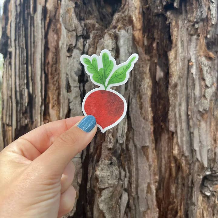 Stick With Finn - Wholesale Phone & Laptop Stickers - Beet Sticker1