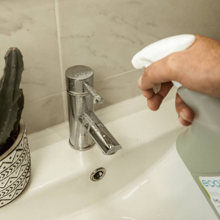 Ecoxperience - Wholesale Toilet Cleaner - Multipurpose Toilet Fig 0.85LT2