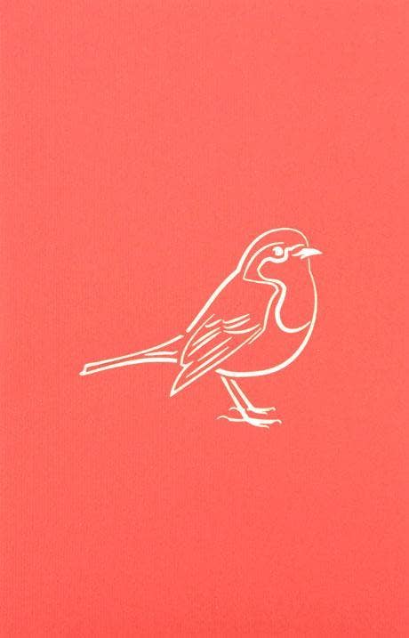 Henry Pop Up Cards - Wholesale Everyday Greeting Card - Robin2