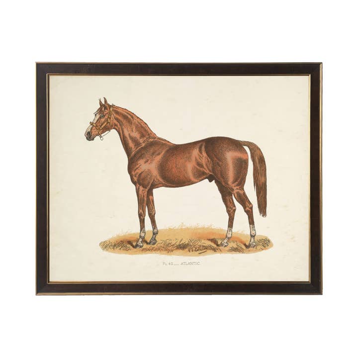 Vintage race horse bookplate B on distressed background for wholesale by Antique Curiosities Inc