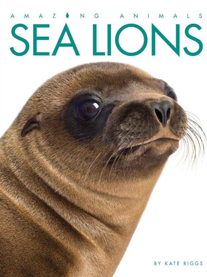 Fantastiske Dyr: Søløver for engroshandel hos The Creative Company