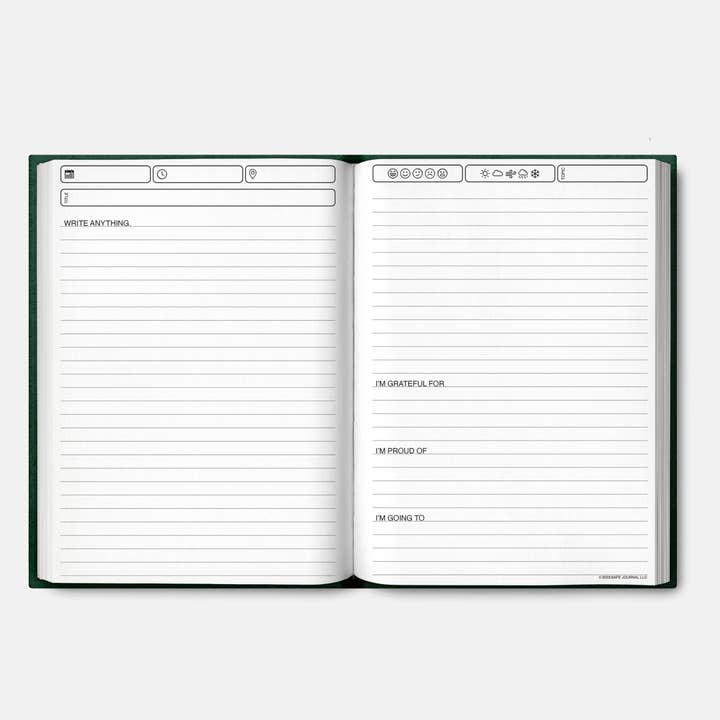 Safe Journal - Wholesale Journal/Diary - Safe Journal: Organized Diary - Therapist Recommended 2