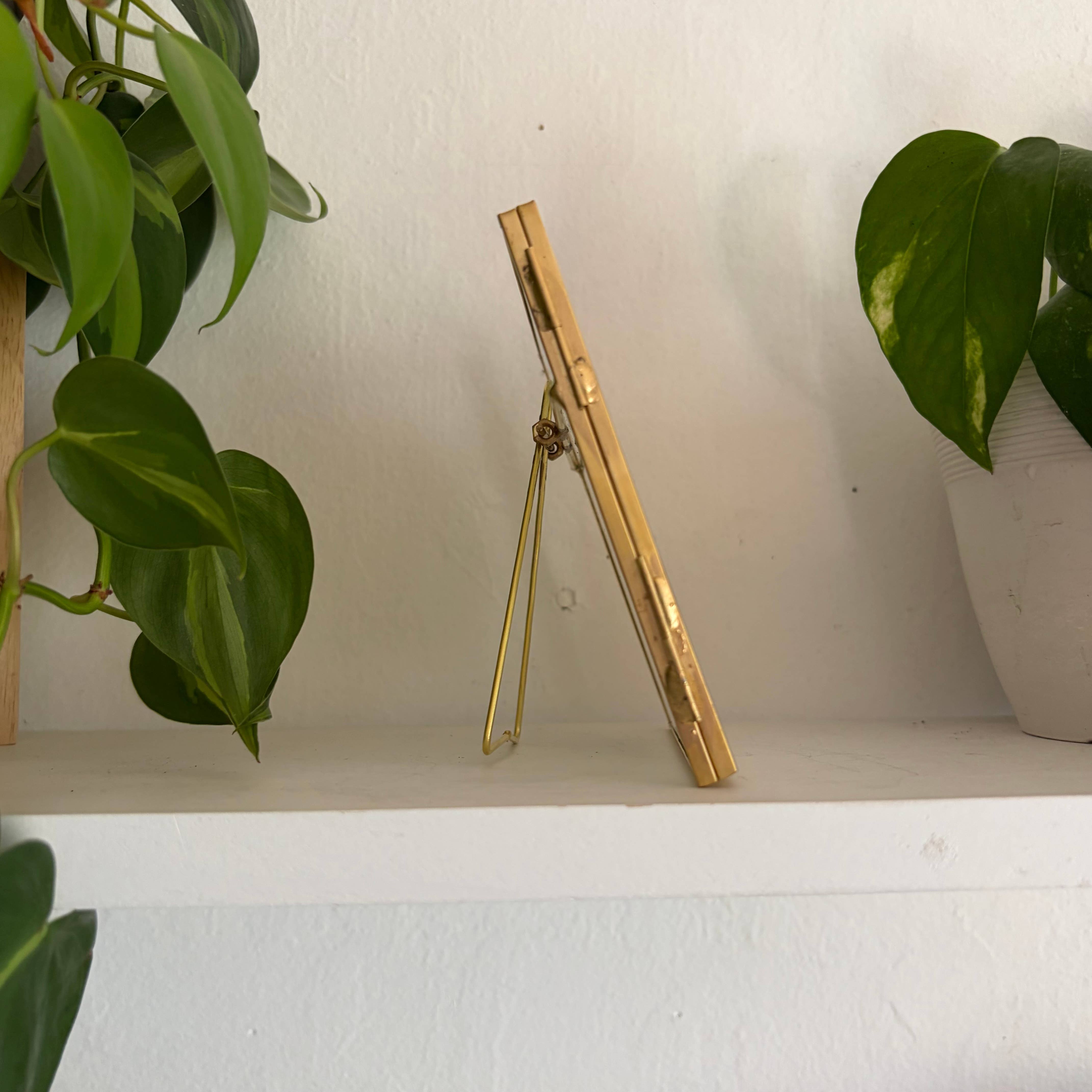 jcarp designs - Wholesale Decorative Tabletop Object - Hand-Painted Sand Dollar Glass Frame: Coastal Home Decor 1