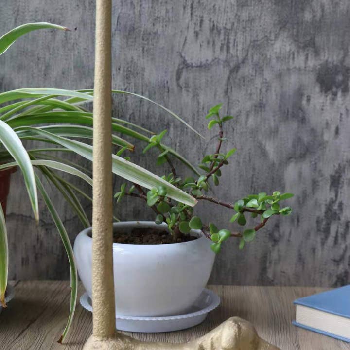 Wall Charmers - Wholesale Paper towel holder - Gold Dog Paper Towel Holder, 12"6