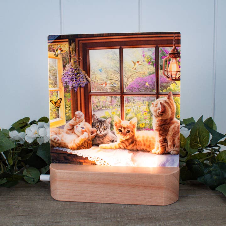 Playful Kittens LED Nightlight for wholesale by Glow Decor