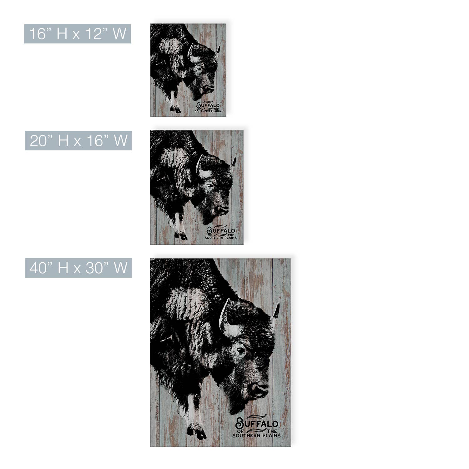 Ready2hangart, Inc. - Vente Affiche d'art - Buffalo' Farmhouse Toile Enveloppée Animal Art mural3