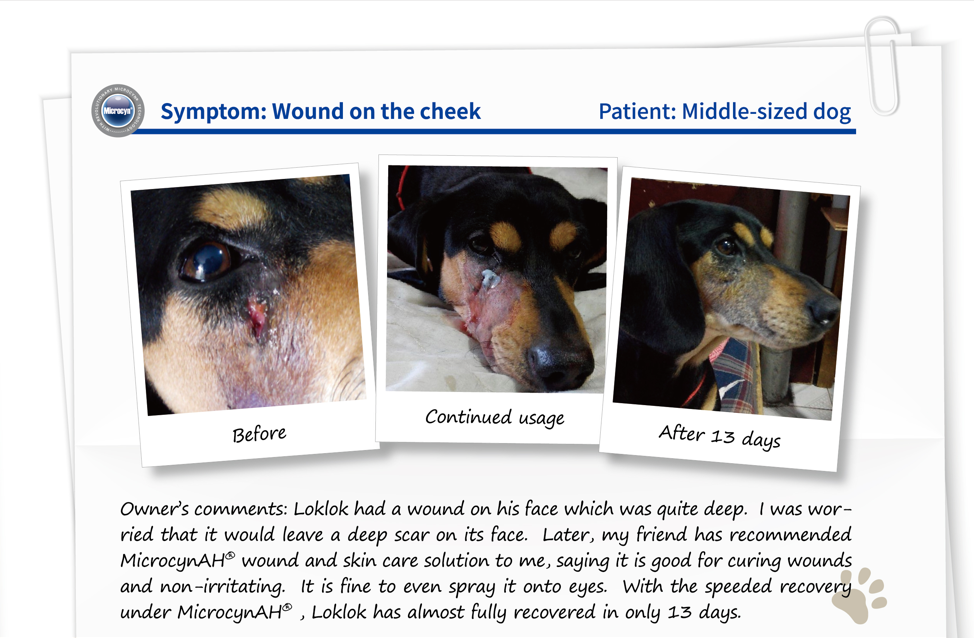 BC Animal Solutions Inc – Spray – Excluindo cães/gatos por atacado – Solução para Cuidado de Pele e Feridas Microcyn® Farm e Ranch, 473ml8