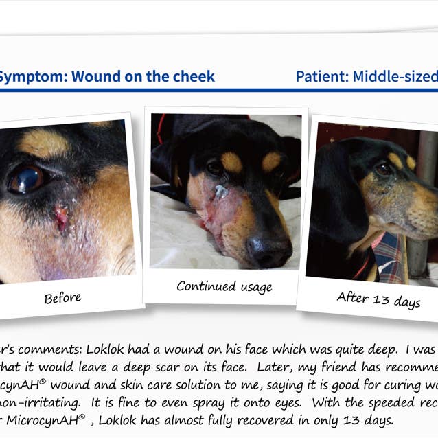 BC Animal Solutions Inc – Spray – Excluindo cães/gatos por atacado – Solução para Cuidado de Pele e Feridas Microcyn® Farm e Ranch, 473ml8