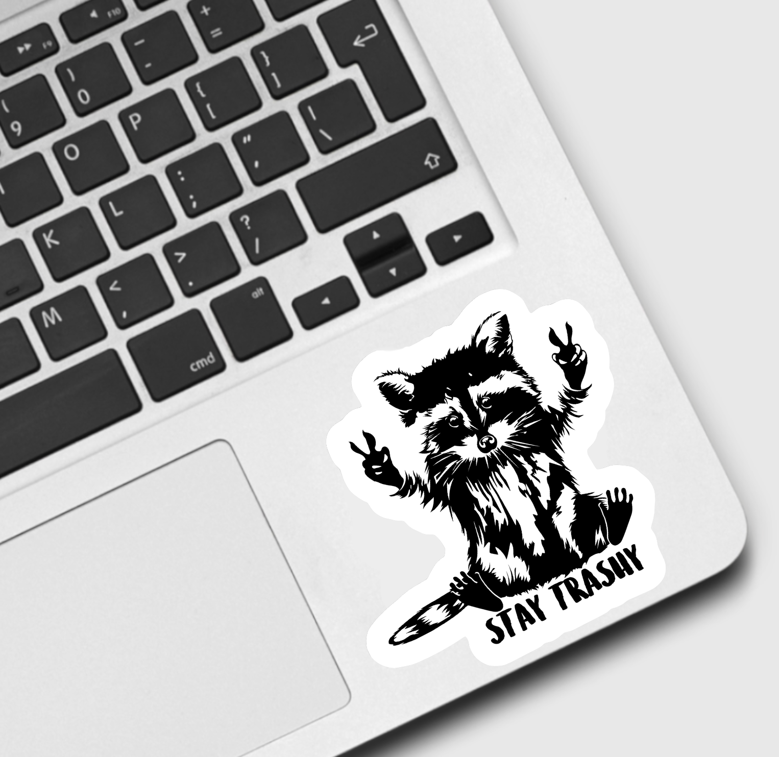 Ace the Pitmatian Co - Wholesale Sticker - Raccoon Stay Trashy Sticker1