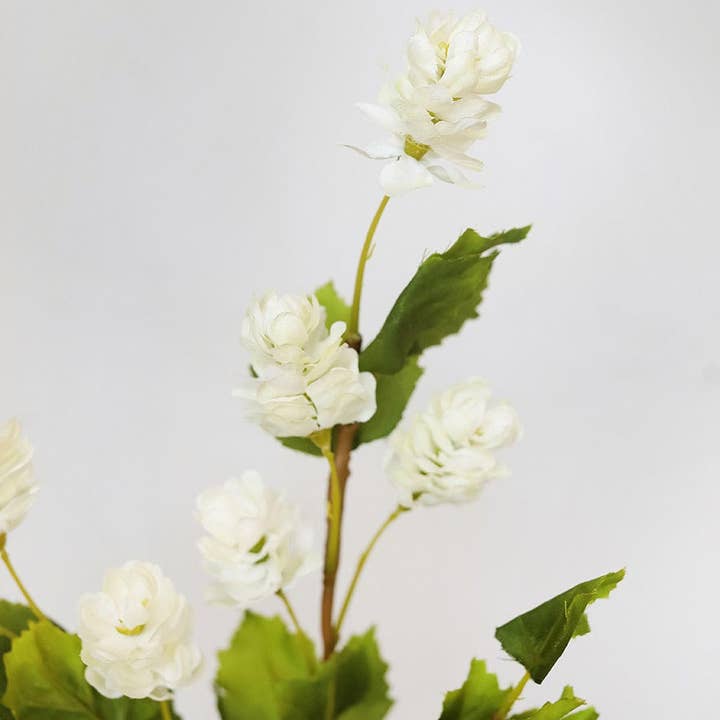 Prestige Botanicals - Vendita all'ingrosso Fiori finti - Luppolo bianco 26,5»