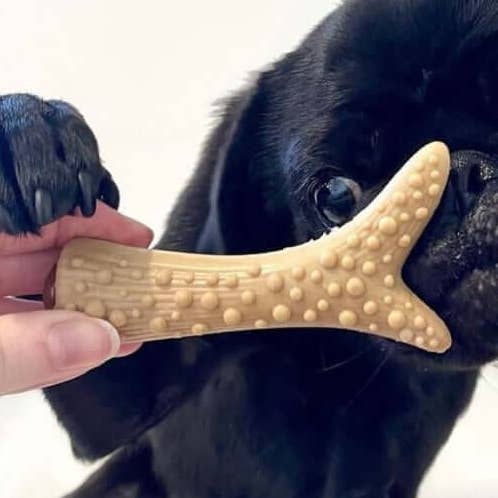 Vegetable, Peanut Butter & Banana Filled Antler Dog Chew for wholesale by The Pets Larder