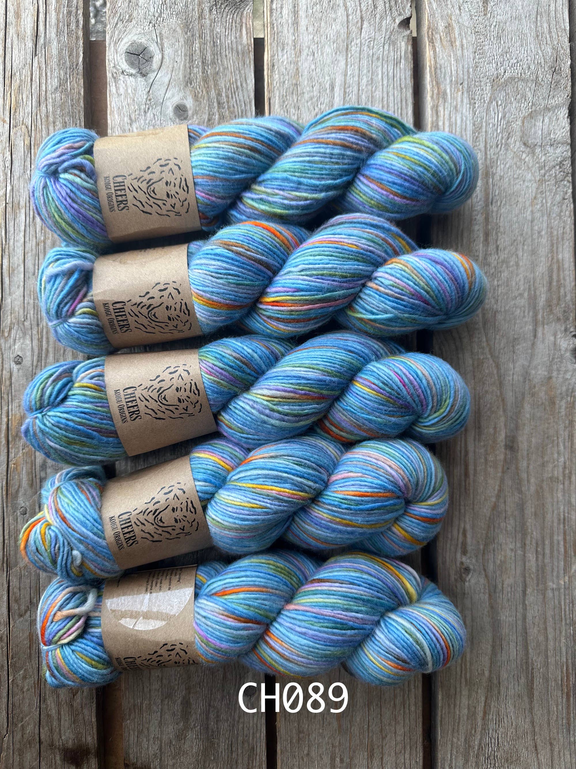 Koigu Wool Designs - Wholesale Yarn - Cheers DK/Worsted44