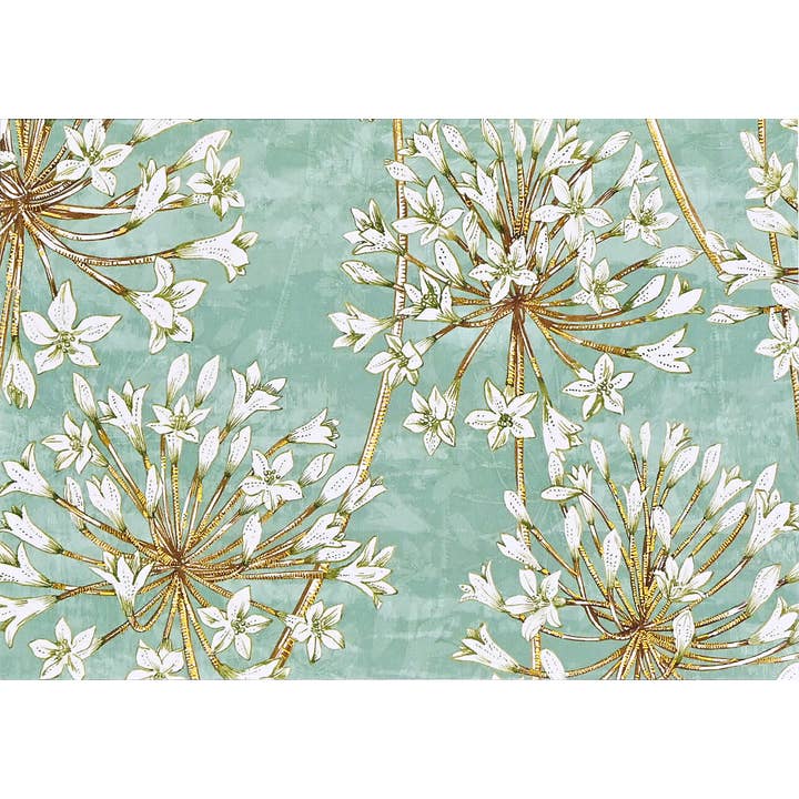 Peter Pauper Press - Wholesale Stationery/Notecard Set - Allium Blossoms Note Cards