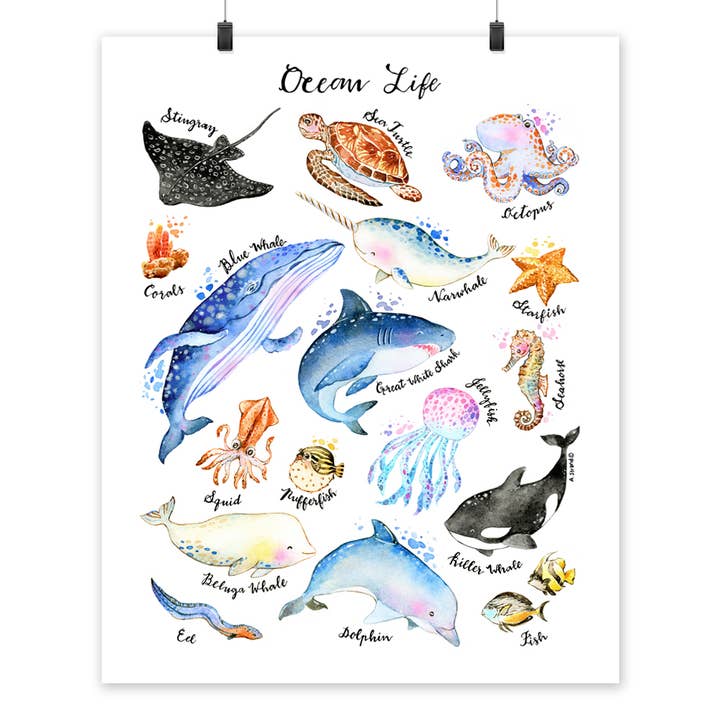 Ocean Life Fine Art Print for wholesale by Amara Strand Studio