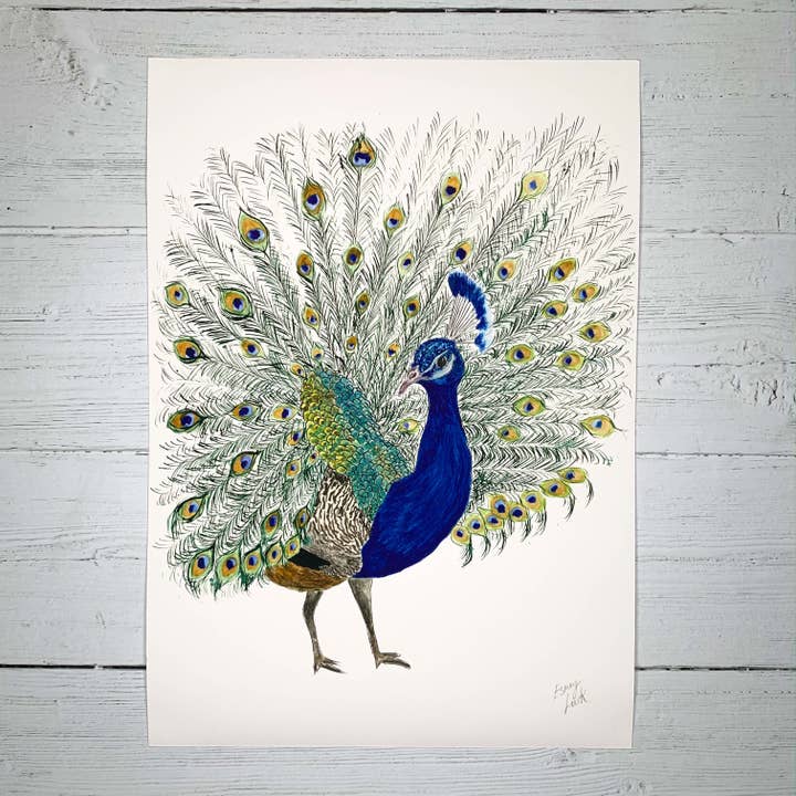 Peacock - Fine Art Print for wholesale by Esmay Luck Art