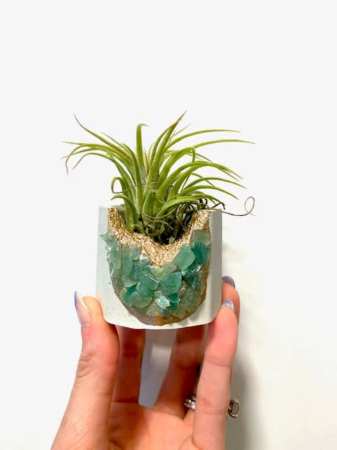 Plant One On Me Designs - Vente Pot - Jardinière en géode de cristal avec plante aérienne - Cristaux mixtes4