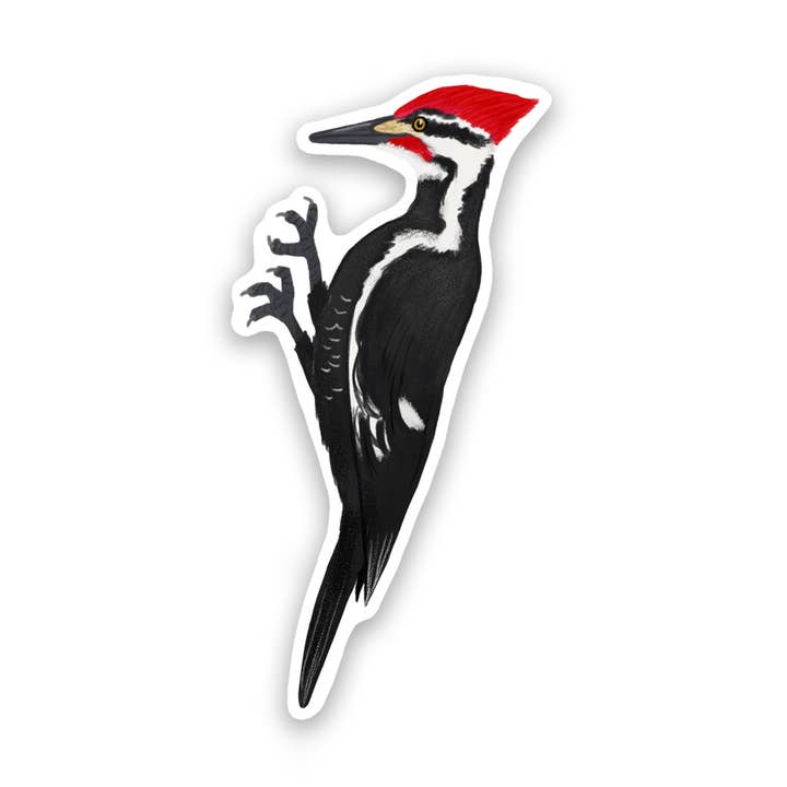Pileated Woodpecker Bird Vinyl Sticker Decal for wholesale by Proper Wolf