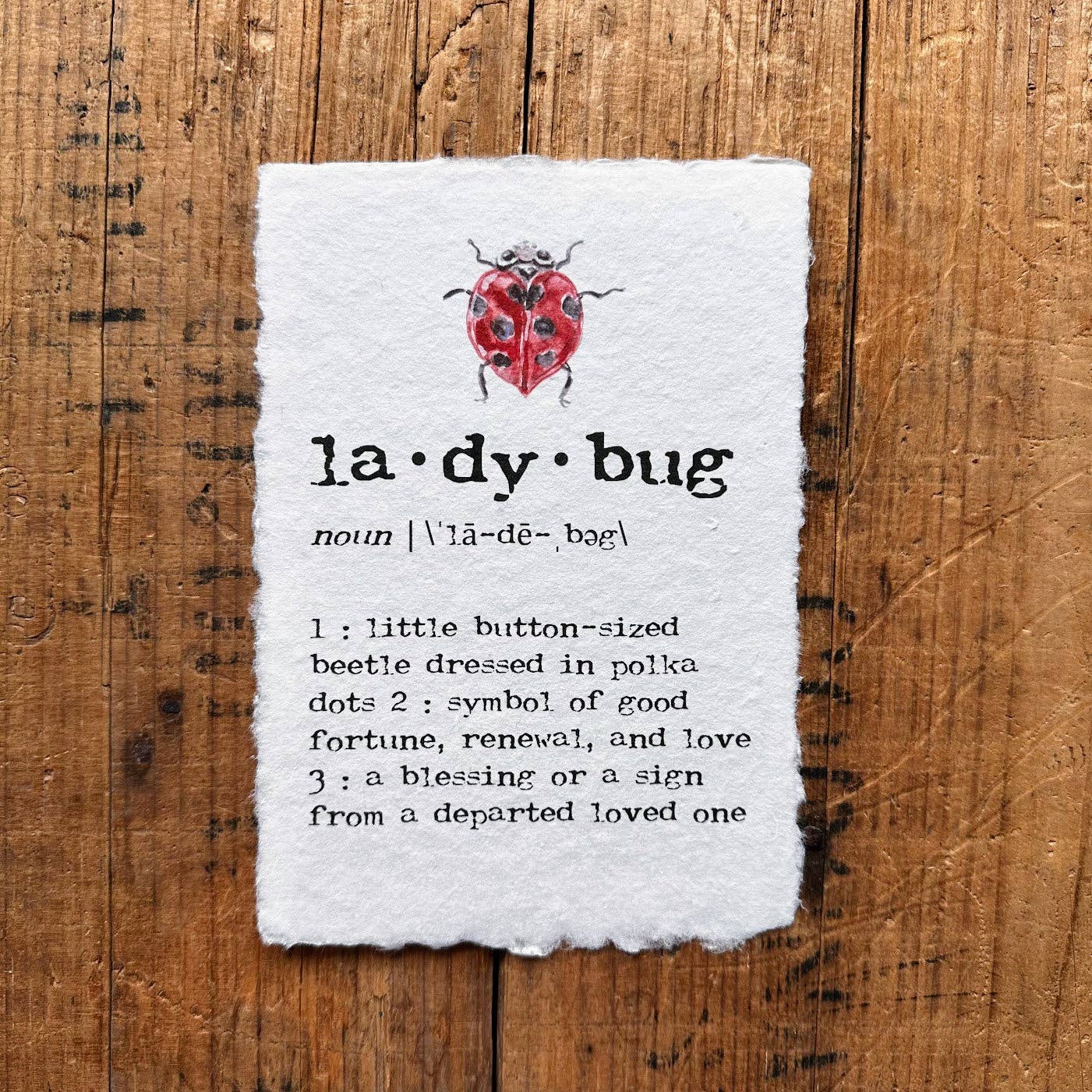 Alison Rose Vintage - Wholesale Art Print - ladybug definition print in typewriter font on handmade paper