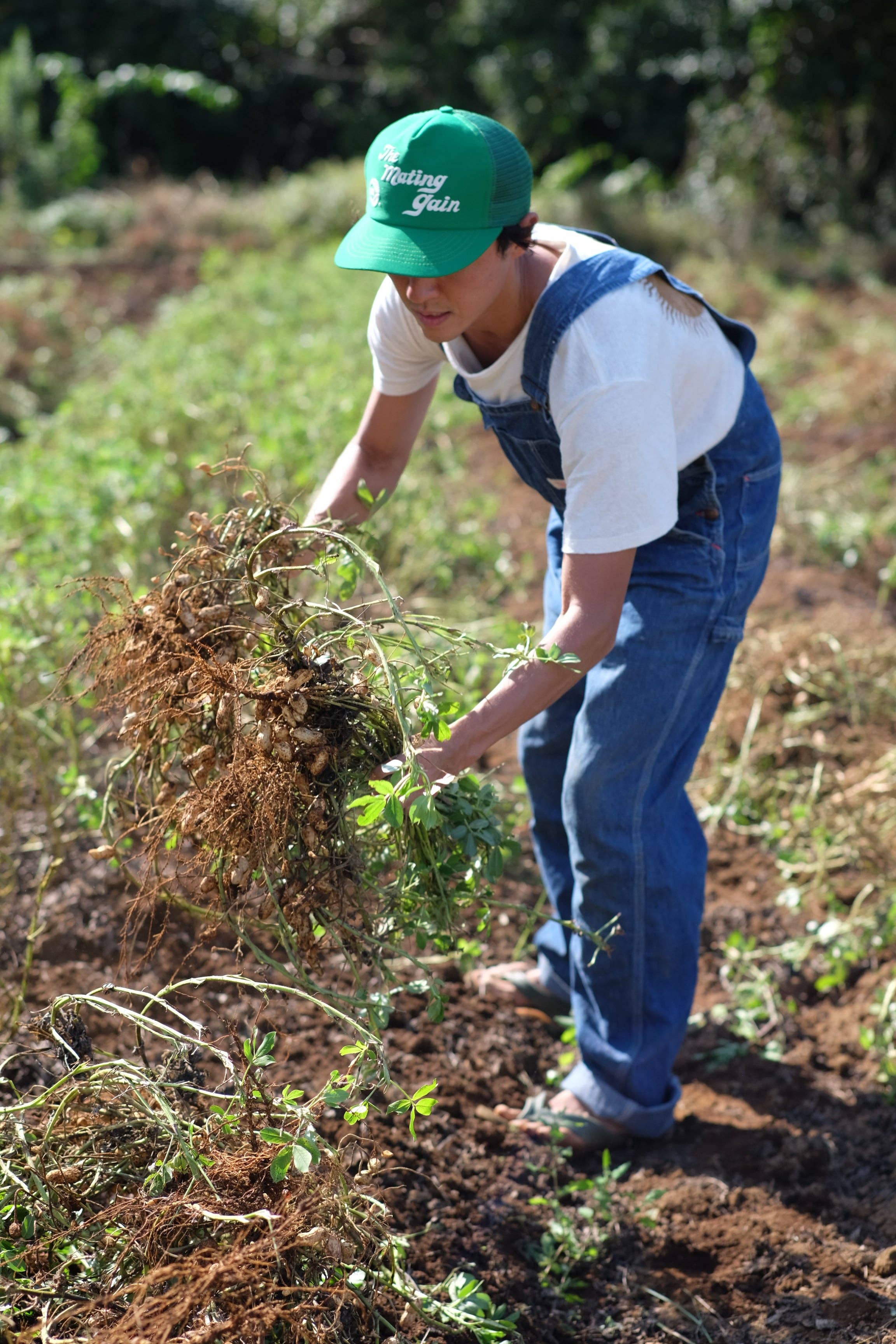 HAPPY NUTS DAY_Japan - Wholesale Nut Butter - Unsweetened Peanut Butter 8.5oz3