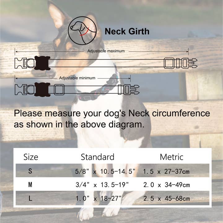 DOCO - Vente Collier – chien - Collier DOCO® LOCO5