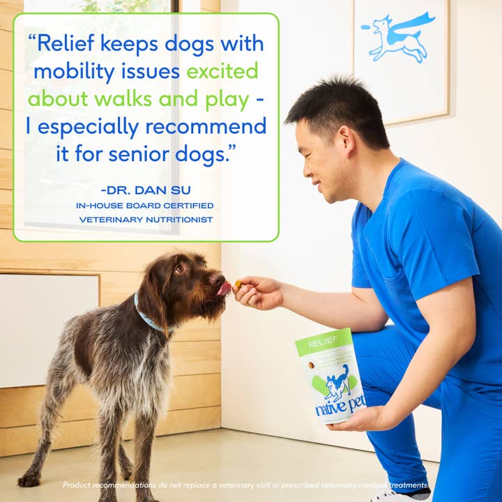 Native Pet - Wholesale Pet Supplement - Dog - Hip+Joint Inflammatory Care Chews, Hip & Joint Supplement5